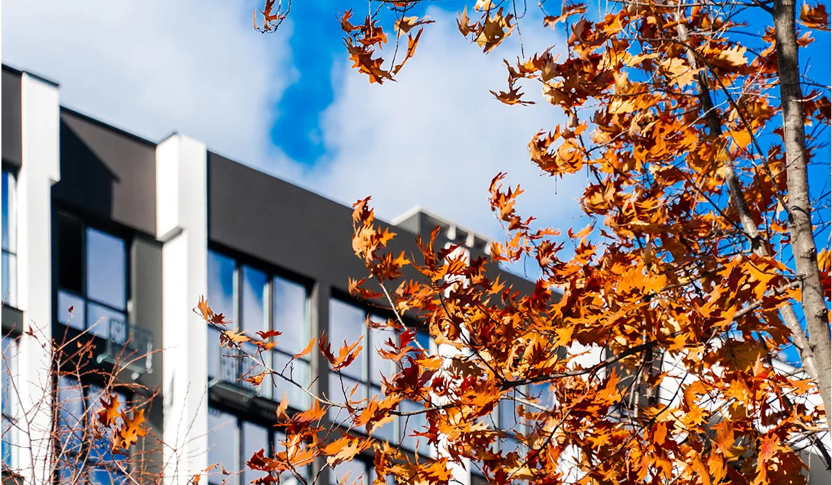 Стан будівництва житлового району Manhattan UP на 29.10.2025