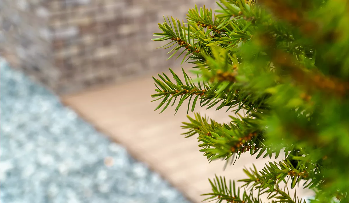 Стан будівництва житлового району Manhattan UP на 27.11.2025