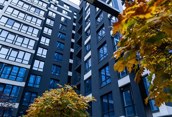 Оновлені фото Comfort Park станом на 06.11.2025