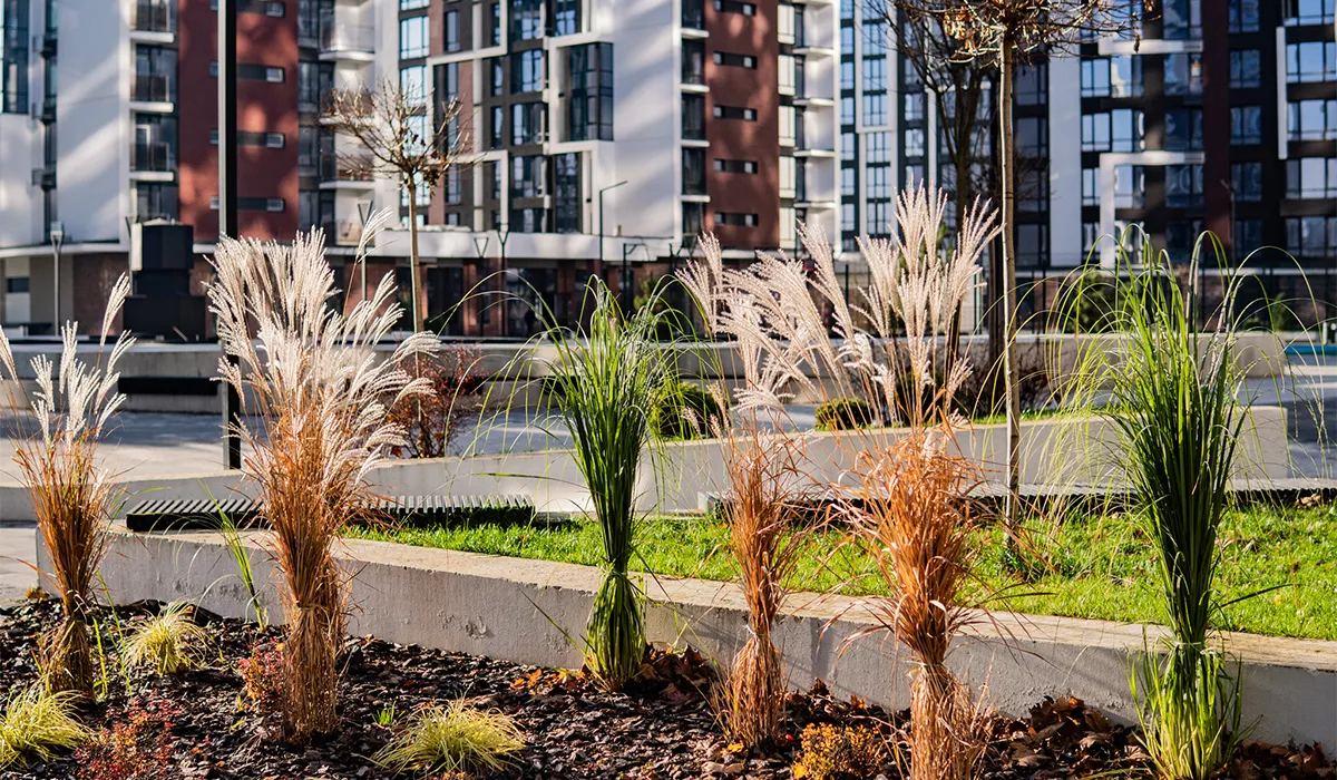 Оновлені фото житлового району Manhattan на 19.11.2025