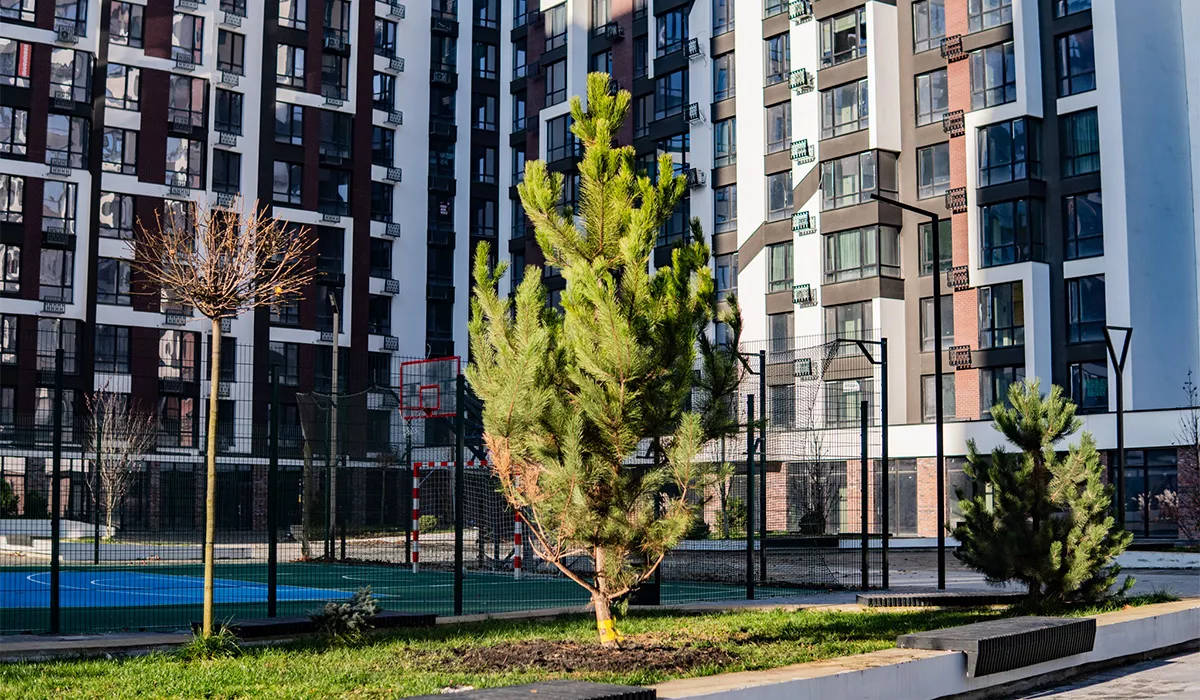 Оновлені фото житлового району Manhattan на 19.11.2025