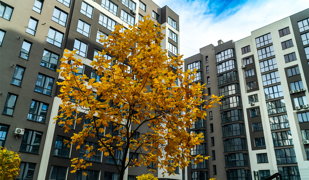 Оновлені фото житлового масиву «Паркова Алея» станом на 03.11.2025