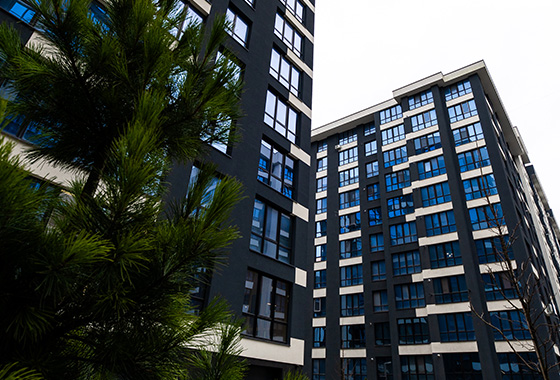 Оновлені фото Comfort Park станом на 08.12.2025