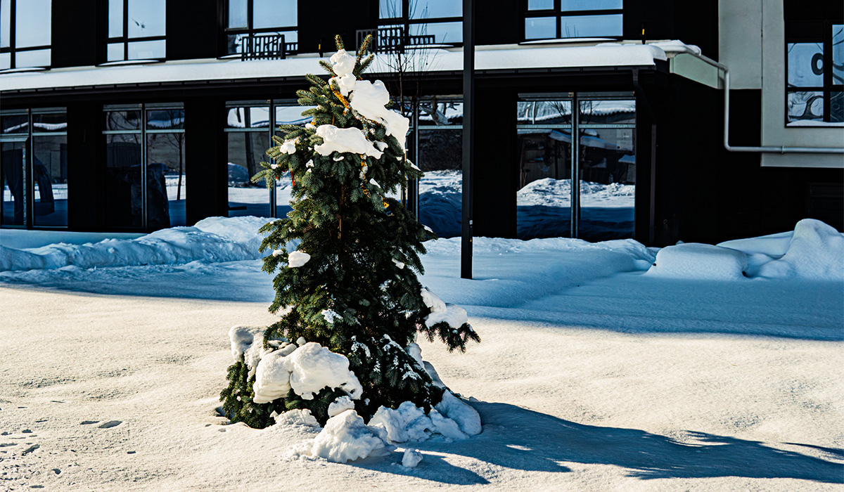 Оновлені фото ЖК Comfort Lite станом на 19.01.2025