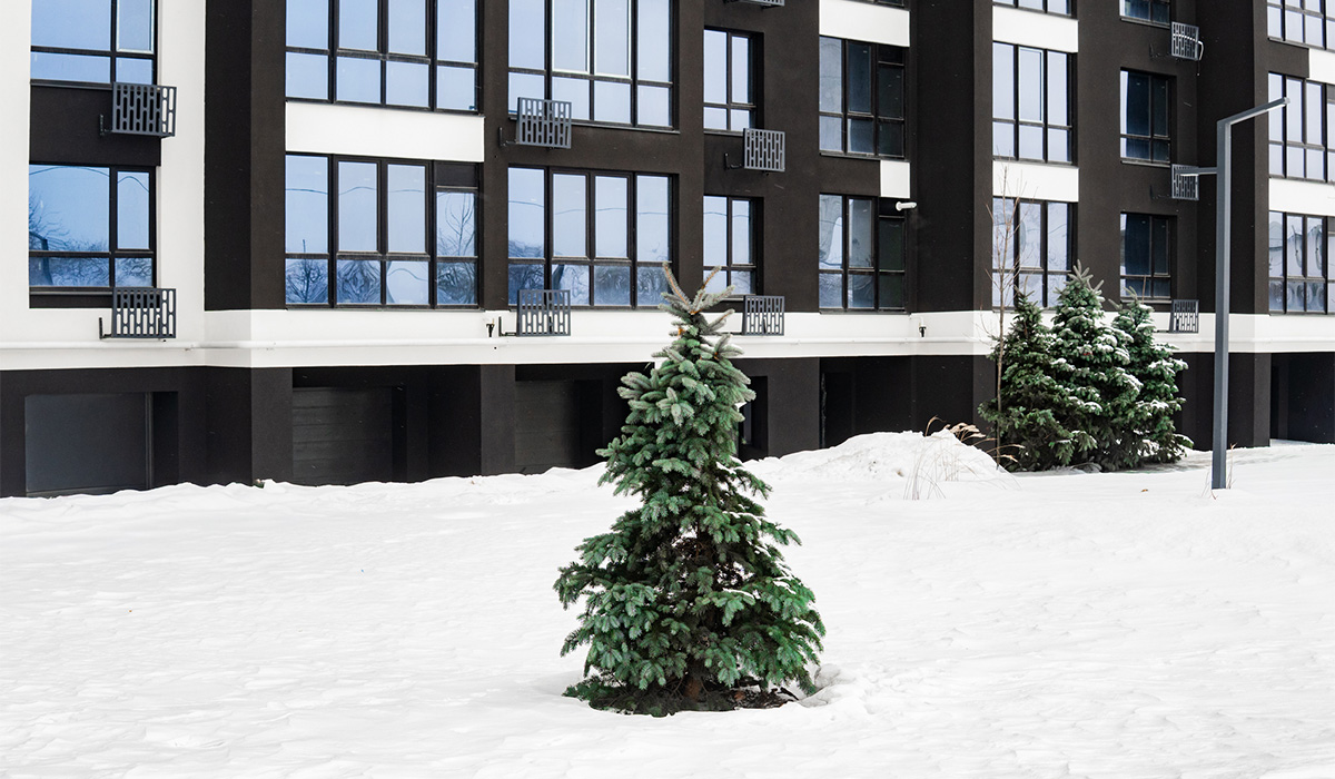 Оновлені фото ЖК Comfort Lite станом на 10.02.2026