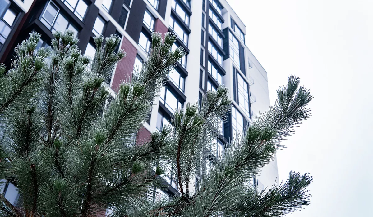 Оновлені фото сучасного району Manhattan станом на 28.01.2026