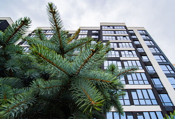 Оновлені фото житлового комплексу Comfort Lite на 08.04.26