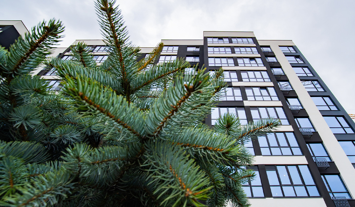 Оновлені фото житлового комплексу Comfort Lite на 08.04.26