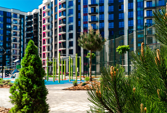 ЖК Family Plaza: приклад технологічного озеленення у Франківську